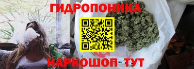 гашик Краснокаменск