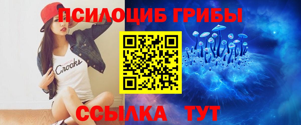 Псилоцибиновые грибы Psilocybe Балахна